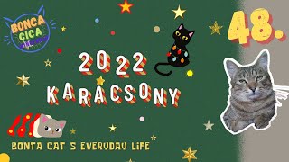 Múlt Karácsony 2022🎄 Last Christmas 2022 [upl. by Nivac]