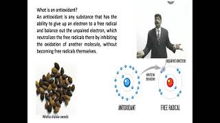 anti oxidants activity determination antioxidants activity determination calculated IC50 [upl. by Eonak]