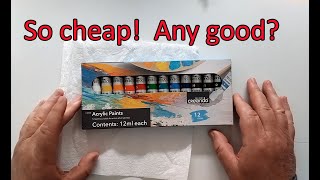 Cheap acrylics anyone Lidl Crelando paint set tried out [upl. by Nyroc]