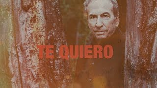 José Luis Perales  Te quiero Versión 2019 Lyric Video [upl. by Fedak]