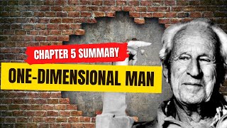 OneDimensional Man  Chapter 5 Summary Commentary and QnA [upl. by Noerb722]