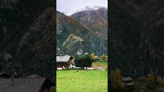 Grachen Switzerland☁️ minivlog trending trendingshorts switzerland travel [upl. by Normandy]