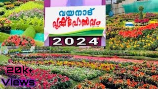 2024 flower show Wayanad [upl. by Ylim]