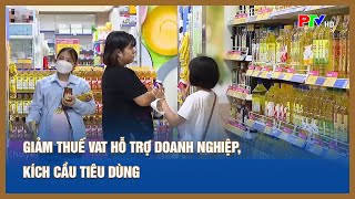 Giảm thuế VAT hỗ trợ doanh nghiệp kích cầu tiêu dùng  Tin tức Phú Thọ [upl. by Divadnhoj653]