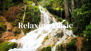 Relaxing Music🌿Stop Overthinking 🧠Calm Music 🎶Relieve Stress 😌 Fatigue 😴and Sleep Music 🌙 [upl. by Yanal]