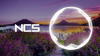 Ghostnaps  Grow Apart  Garage  NCS  Copyright Free Music [upl. by Egidio]