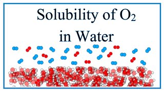 Solubility of O2 Oxygen gas in Water [upl. by Belayneh]