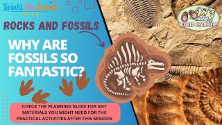 World Learners 3 Catch Up Fantastic Fossils [upl. by Stahl198]