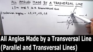 Angles made by transversal line in between two parallel lines  Parallel Lines and Transversal [upl. by Jocelyne]