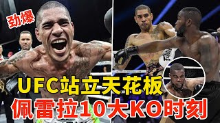 UFC站立天花板，佩雷拉10大经典KO，一拳打得对手抽搐！屠龙勇士，致命左勾！ALEX PEREIRAS TOP 10 KICKBOXING KNOCKOUTS Ⅱ HD【搏击先锋】 [upl. by Vanzant]