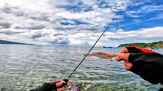 SPOT MANCING CUMICUMI SOTONG TERBAIK DI DUNIA SENSASI ULTRALIGHT FISHING [upl. by Enelehcim157]