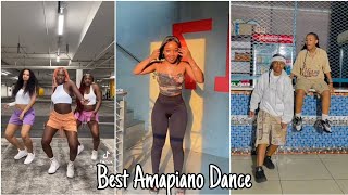 TikTok Amapiano Dance Compilation 2024  Best Viral Moves [upl. by Islehc694]