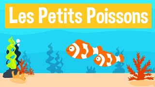 😃 LES PETITS POISSONS  Comptines et chansons pour enfants [upl. by Dickson831]