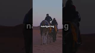 Discover the Tuareg Nomads of the Sahara  Arcane World Adventure [upl. by Tobie]