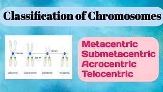 Classification of Chromosomes conceptualgeneticsandbreeding [upl. by Enirac]