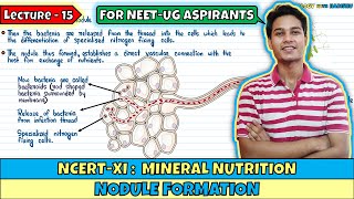 Mineral Nutrition Lec 15 Root Nodule Formation Class 11 NEET Harishu [upl. by Isyed]