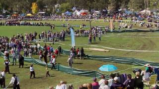 Bundanoon Highland Gathering IncBundanoon is Brigadoonpart 2 [upl. by Evey]