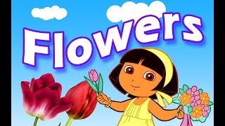 Flowers Name for kids  Flowers Name Video [upl. by Krissy]