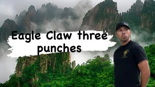 Eagle Claw three punches section 1 [upl. by Asille]