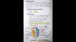 Neurotransmitters GABA Pharmacology 4th semester [upl. by Nylyaj]