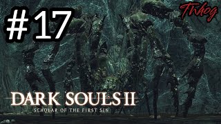 Dark Soul 2 Scholar of The First Sin17 la cava di Tseldora Pt2 Boss Frejaamata del duca  Coop [upl. by Lorn]