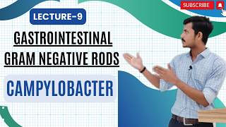 Gastrointestinal Gram  Negative Rods Part 9  Campylobacter 1 [upl. by Kruger]