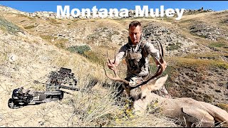 Montana Mule Deer Hunting 2024 [upl. by Aneerahs]