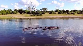 Rundreise Botswana  Chobe  Safari Jeep und Boot Vlog 13 [upl. by Adnilrem]