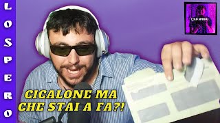 CICALONE DENUNCIA WIDE ALF PER VIOLAZIONE DEL COPYRIGHT WIDE E PALLEUOMO GLI RISPONDONO IN LIVE [upl. by Adnana761]