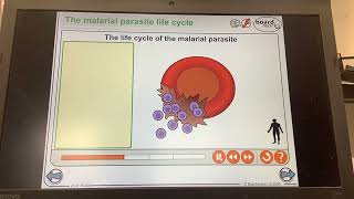 KS4GCSEReproductionMalaria lifecycle [upl. by Enneirb]