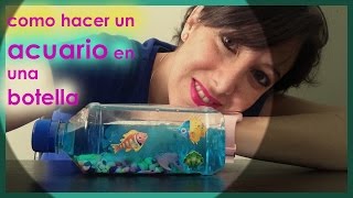 acuario artificial en botella acuarium in a bottle [upl. by Eletnahc]