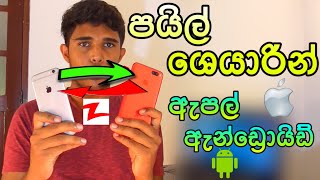 File Share on Android amp iPhone Using Zapya App Sinhala  සිංහලෙන්  🇱🇰 Thusi Bro [upl. by Beaufert]