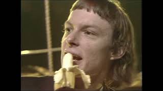 THE DICKIES  Banana Splits Promo 1979 best quality [upl. by Ihcalam787]