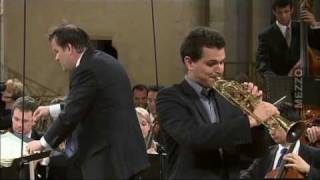 16 David Guerrier  Joseph Haydn  1er mvt du Concerto pour trompette [upl. by Martita]