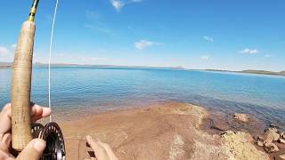 Sterkfontein Dam fly fishing a sterkies experience [upl. by Clarinda559]