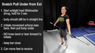 Snatch Pull Under from Ext [upl. by Ytsirhc]