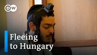 How Jews from Israel are seeking refuge in Hungary  Focus on Europe [upl. by Aihtekal]