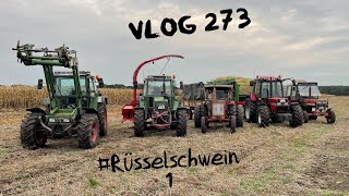 Farmvlog 273  Das letzte mal Rüsselschwein 1 [upl. by Eneluj392]