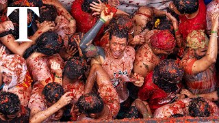 LIVE Thousands celebrate La Tomatina in Spain [upl. by Oswald]