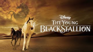 The Young Black Stallion Full Movie Super Review and Fact in Hindi  Biana Tamimi [upl. by Edaw76]