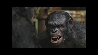 Caesar vs Koba  Dawn of the Planet of the Apes 2014LOWI [upl. by Wightman]