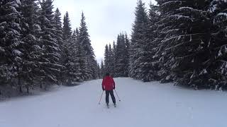 Vatra Dornei ski partia Dealu Negru [upl. by Kiel]