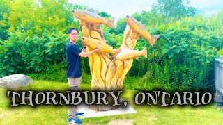 Thornbury Ontario [upl. by Adehsar966]