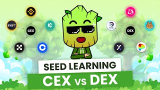 CEX vs DEX How to Choose the Best Exchange for your Crypto  SEED Learning 8 [upl. by Swisher]