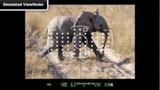 Canon EOS 5D Mark III  Tutorial AF Area Selection 114 [upl. by Asseralc886]