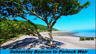 Coast Path Walk 2 Selworthy Beacon to Porlock Weir [upl. by Alacim795]