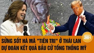 Sửng sốt Hà mã quottiên triquot ở Thái Lan dự đoán kết quả bầu cử Tổng thống Mỹ [upl. by Alyakim]