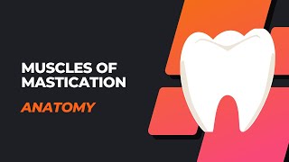 Muscles of Mastication Tamil [upl. by Huebner394]