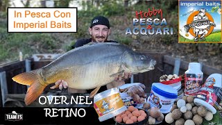 TEAMFS amp IMPERIAL BAITS in Sessione AllAngler Park The Perfect Match FullHD [upl. by Pauiie]