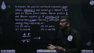 In humans the gene for red blood corpuscles shape alleles elliptical E and normal e is linke [upl. by Crispa]